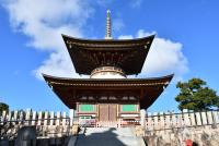 青空の下の久米田寺多宝塔