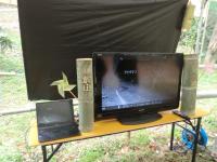 神於山の生き物映像