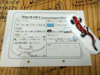 いもりフィギュア