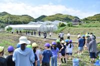 田植え1