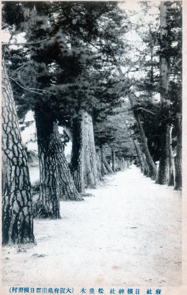 府社日根神社　松並木