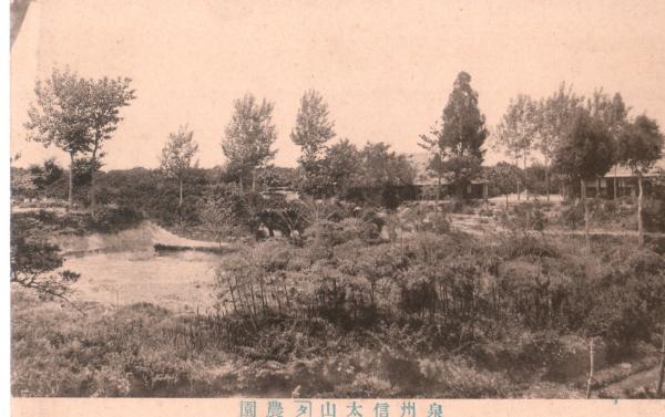 （農園風景）
