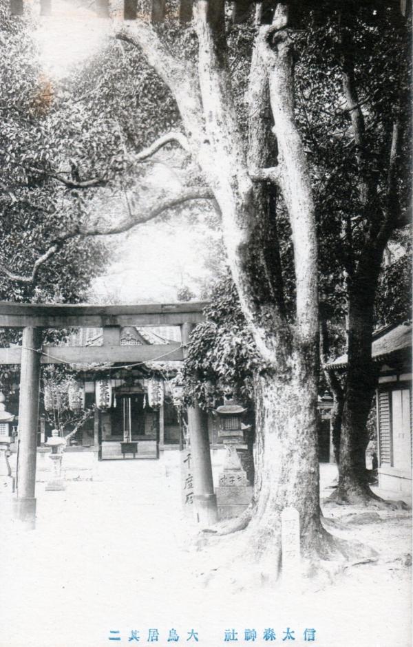信太森神社大鳥居　其二