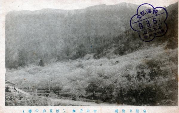 金熊寺梅渓　中の千本(妙見山の梅）