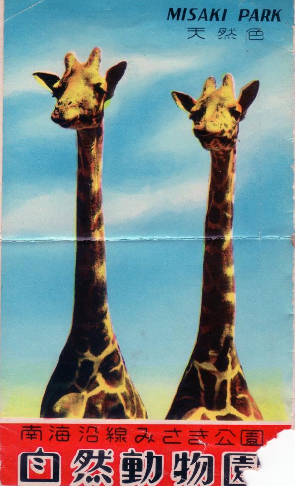 南海沿線みさき公園　自然動物園（タトウ）