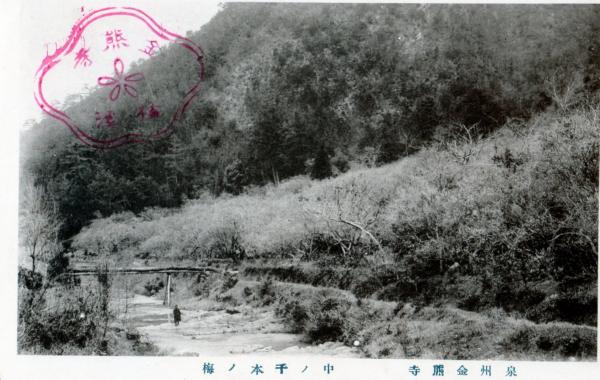 泉州金熊寺　中ノ千本ノ梅