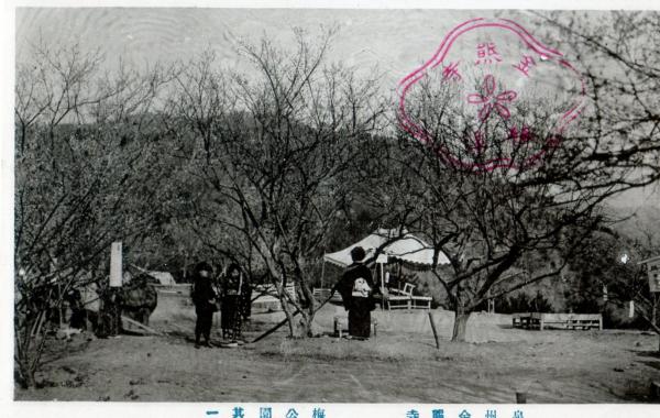 泉州金熊寺　梅公園其一