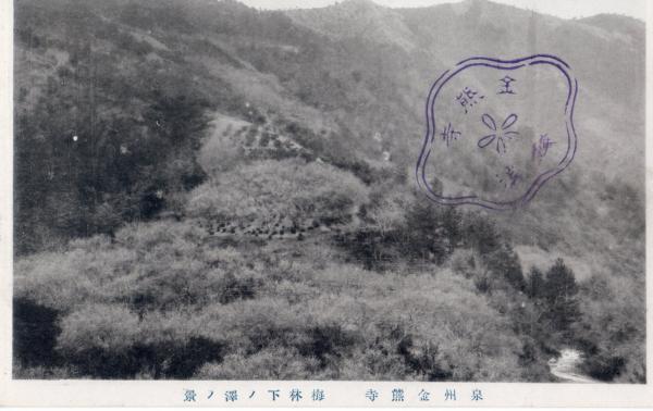 泉州金熊寺　下ノ澤ノ景