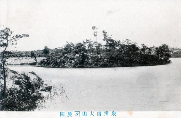 泉州信太山かぎタ農園