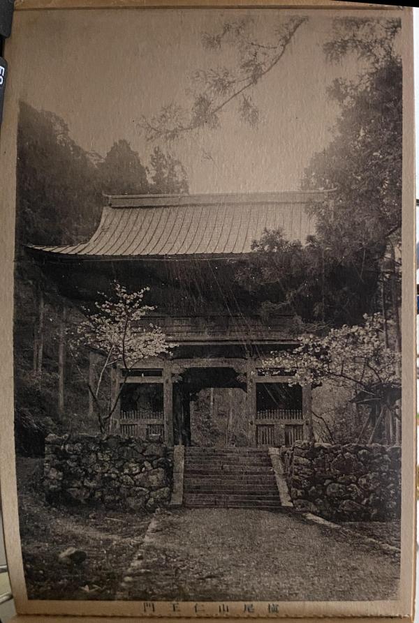 槙尾山仁王門
