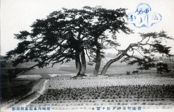 信達村丑神ノ松ヲ望ム