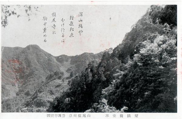 西国第四番泉州槇尾山　本堂前眺望