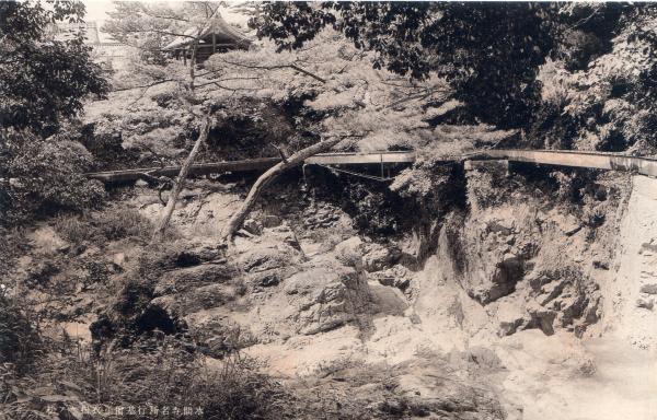 水間寺名所行基僧正衣掛ケノ松