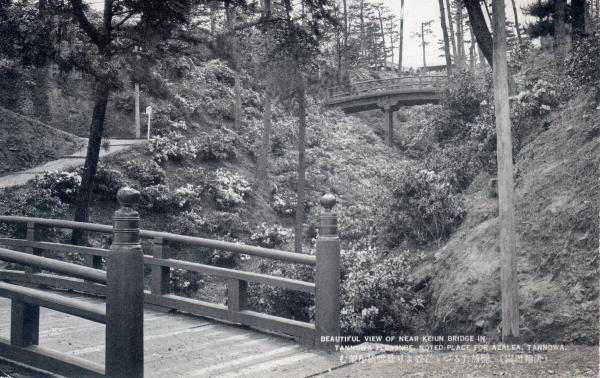 艶然たるつつじ谷より景雲橋を望む