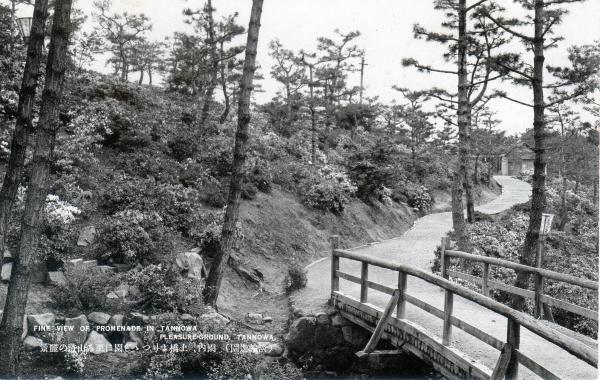 園内、土橋よりつつじ園に至る山道の麗景
