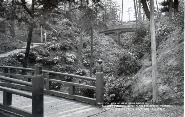 艶然たるつつじ谷より景雲橋を望む