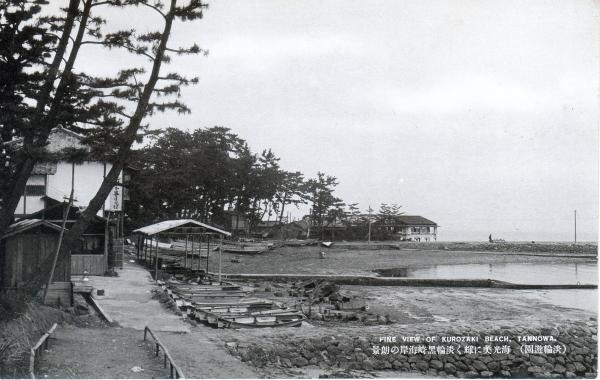 海光美に輝く淡輪黒崎海岸の朗景