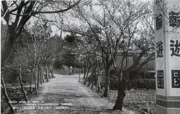 行楽の雅園、淡輪遊園入口の桜