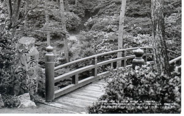 艶たるつつじに彩られた園内景雲橋の雅景