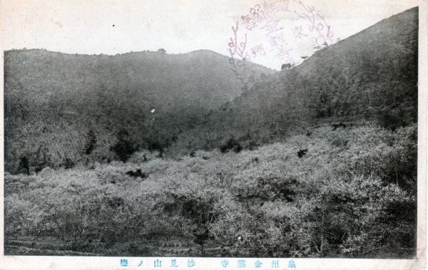 泉州金熊寺　妙見山ノ梅