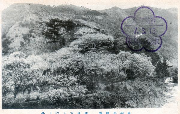 泉州金熊寺　梅林下ノ澤ノ景