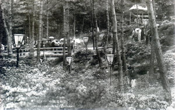 淡輪遊園のつつじ