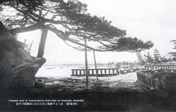 古くより歌枕にあらわれし和歌浦下り松