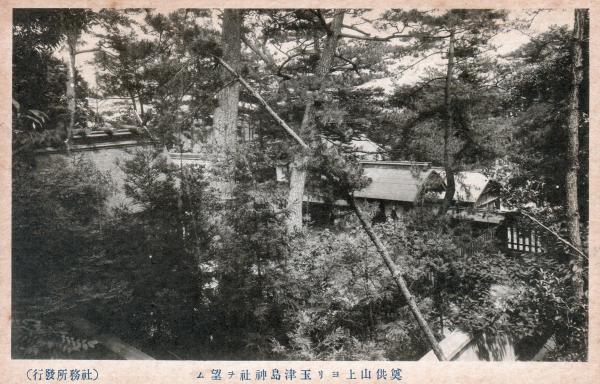 尊供山ヨリ玉津島神社ヲ望ム