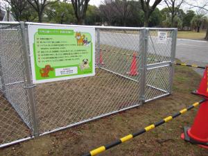 中央公園ドッグラン